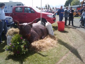 highland-show