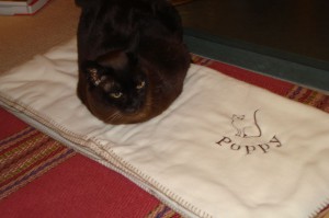 Poppy Christmas blanket2-s